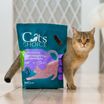 Растительный комкующийся наполнитель тофу Cat's choice с ароматом "Лаванда" 6 л/2,5 кг — фото 3