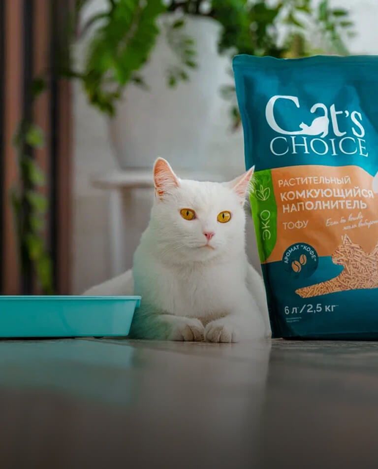 Белая кошка рядом с наполнителем Cat’s Choice с ароматом кофе