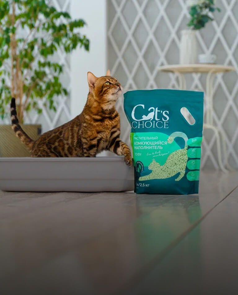 Бенгальская кошка в лотке рядом с наполнителем Cat’s Choice