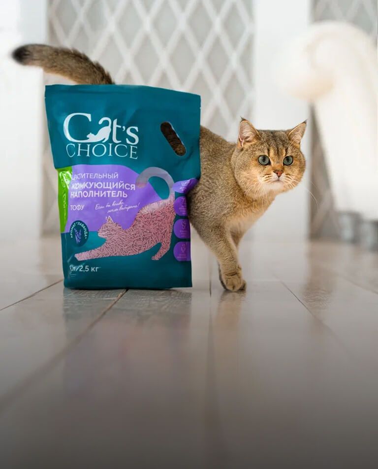 Кошка выходит из-за упаковки наполнителя Cat’s Choice с ароматом лаванды