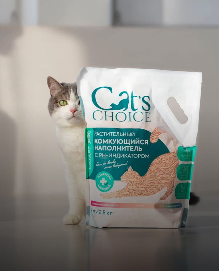 Британская кошка выходит из лотка с наполнителем Cat’s Choice